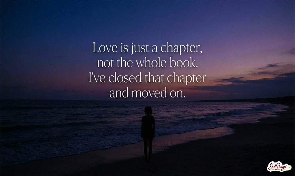No Love Shayari English