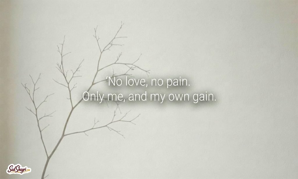 No Love Shayari copy and paste