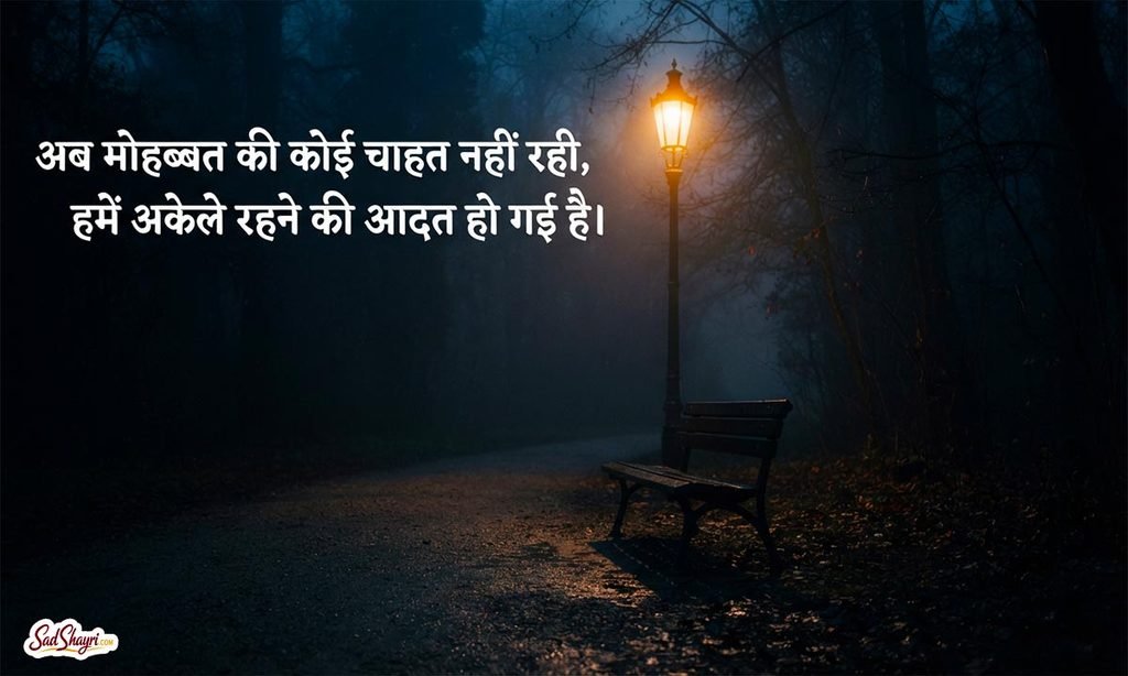No Love Shayari in Hindi