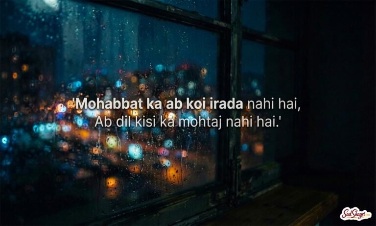 No Love Shayari