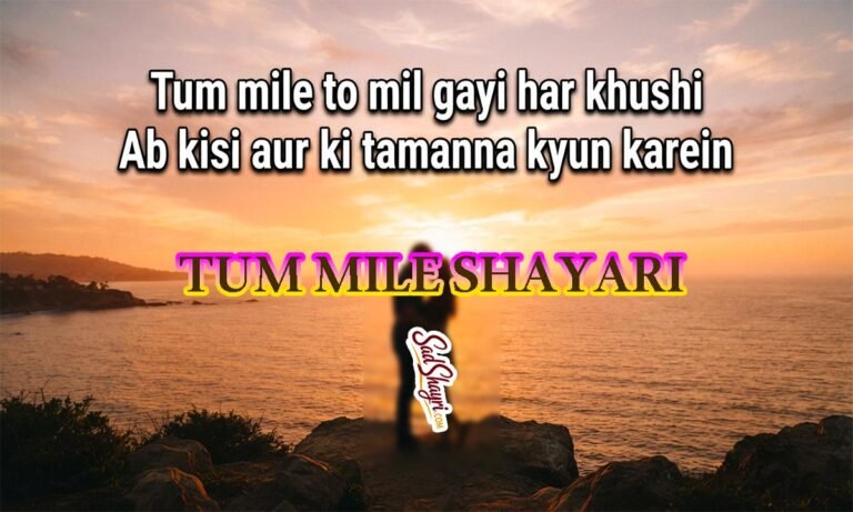 Tum mile shayari 2 line